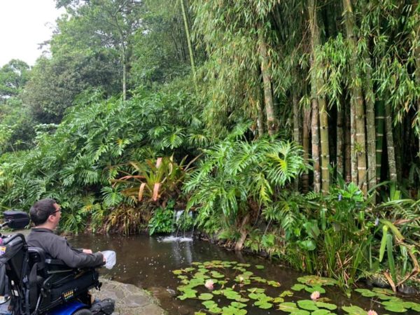 Man in electric wheelchair looking at plants in a botanical garden